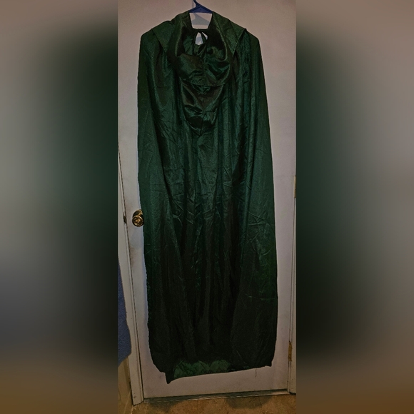 Disney Hocus Pocus Green Costume - Picture 2 of 4